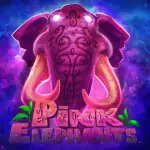 icon-马上体育体育